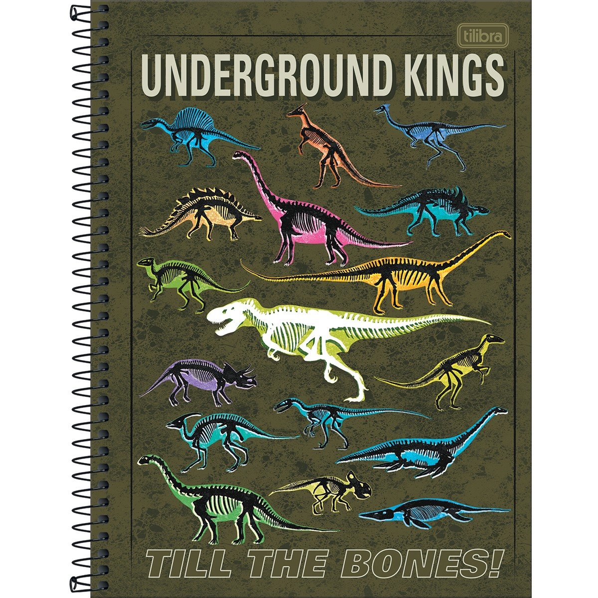 Caderno de Desenho Capa Dura Espiral A4 60 Folhas Dinossauro no Shoptime
