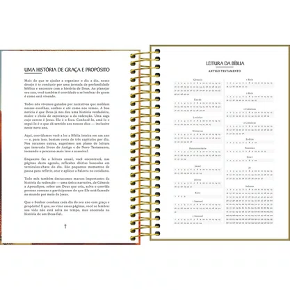 Agenda 2027 Espiral Diária Amarelo Louvor Tilibra