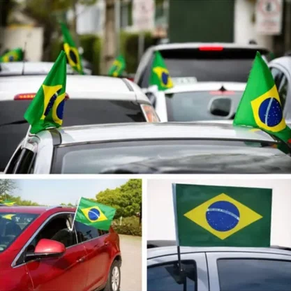 Bandeira Brasil Carro 30x45cm Unidade