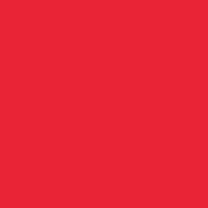 Bexiga Coração N.12 Vermelho C/ 25un Artlatex