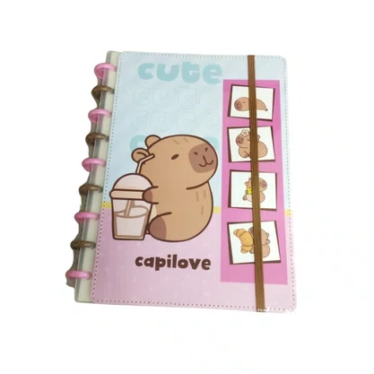 Caderno CD Disco Unidade Sortido Capivara Skypaper