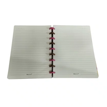 Caderno CD Disco Unidade Sortido Capivara Skypaper