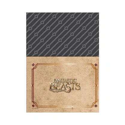Caderno Espiral Universitário Capa Dura 160 Fls Animais Fantásticos Branco Seminviso Jandaia
