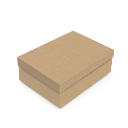 Caixa Presente Grande Kraft 35x25,5x7,5 Cm Unidade Cristina