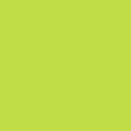 Cartolina EVA Atoalhado Verde Lima 40x60 Unidade Seller