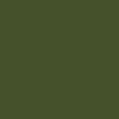 Cartolina EVA Verde Musgo 40x60 Unidade Seller
