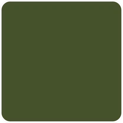 Cartolina EVA Verde Musgo 40x60 Unidade Seller