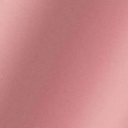 Fecho Prático Metalizado 100 Unidades Rose Gold 11cm Silver