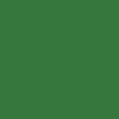 Fita Gorgurão 15mm Verde Bandeira Cor 217 Rolo 40 Metros Phfit
