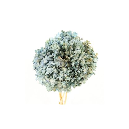 Flor Hortência Maço Fechado Unidade Cor Sortida