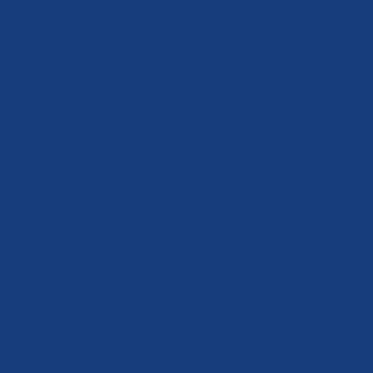 Fundo Tapetinho Nº9 Azul Marinho com 100 Unidades Cromus