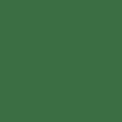 Guardanapo Verde Liso 32x32cm Folha Dupla Silver Plastic c/ 20 Unidades