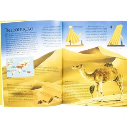 Livro Lar Dos Animais Desertos Todolivro