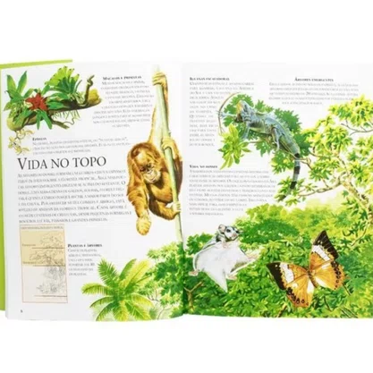 Livro Lar Dos Animais Florestas Tropicais Todolivro