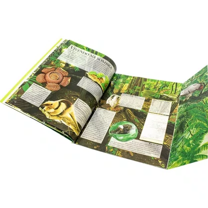 Livro Lar Dos Animais Florestas Tropicais Todolivro