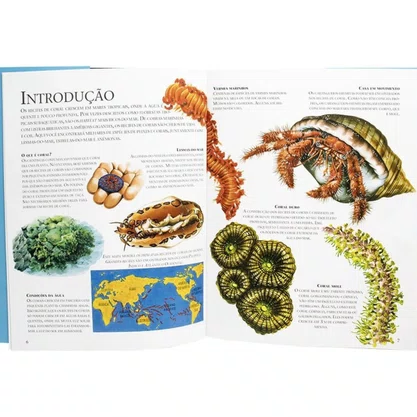 Livro Lar Dos Animais Recife de Corais Todolivro