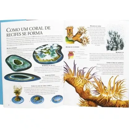 Livro Lar Dos Animais Recife de Corais Todolivro