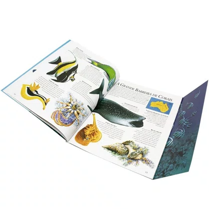 Livro Lar Dos Animais Recife de Corais Todolivro