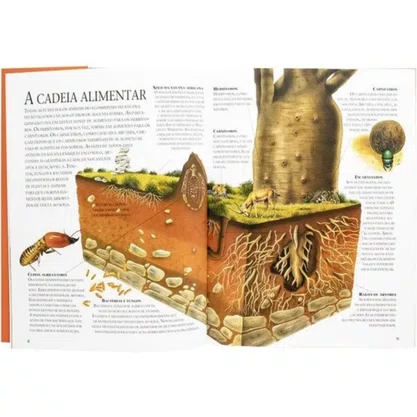 Livro Lar Dos Animais Savanas Africanas Todolivro