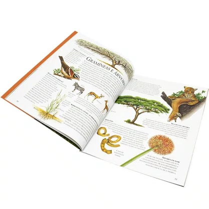 Livro Lar Dos Animais Savanas Africanas Todolivro