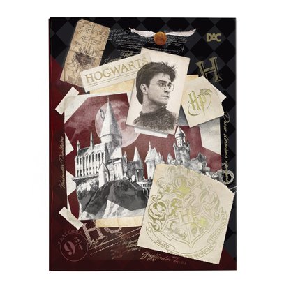 Pasta Catálogo C/10 Envelopes Harry Potter DAC