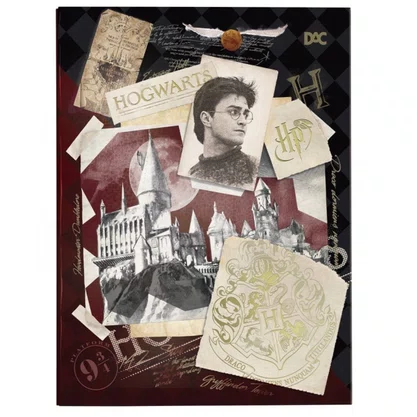 Pasta Catálogo C/10 Envelopes Harry Potter DAC