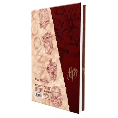 Pasta Catálogo C/10 Envelopes Harry Potter DAC