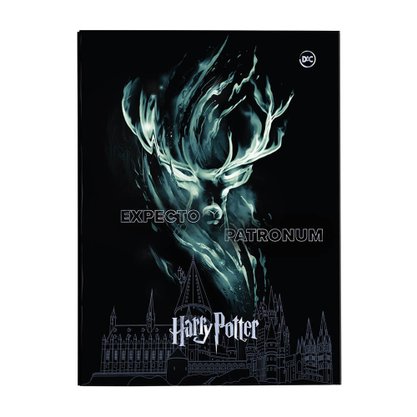 Pasta Catálogo C/10 Envelopes Preto Harry Potter DAC