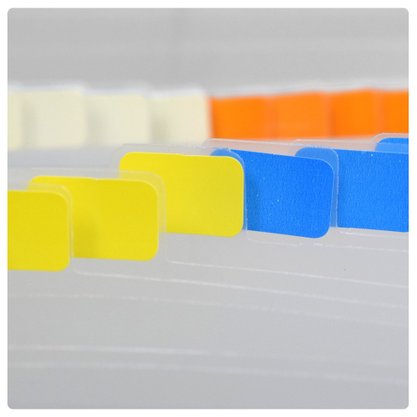 Pasta Sanfonada Duplicata Plástica com 31 Transparente Line DAC