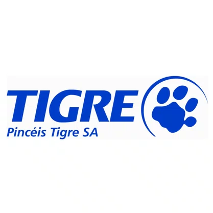 Pincel Tigre Ref 815 N. 16 Pincel Chato