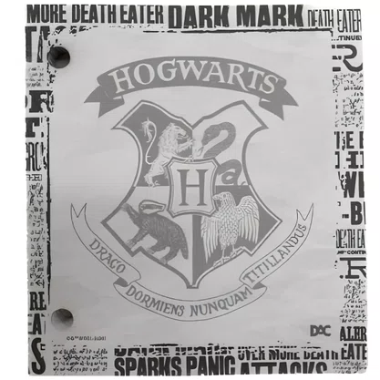 Refil Mini Fichario Harry Potter 80fls 105x115mm DAC