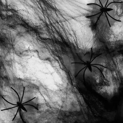 Teia de Aranha Preta com 02 Aranhas 20g Partiu