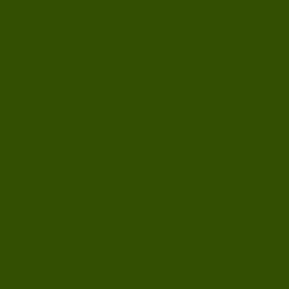 Tinta PVA Fosca 100ml Verde Oliva Acrilex