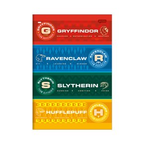 Caderno Brochura Sem Pauta 30 Fls Harry Potter Jandaia