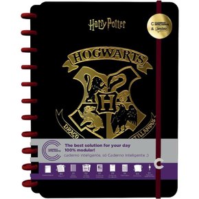 Caderno Inteligente 80fls Preto Hary Potter Jandaia