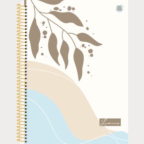 Caderno Universitário Espiral 160 Folhas Colorido Lumine Animativa