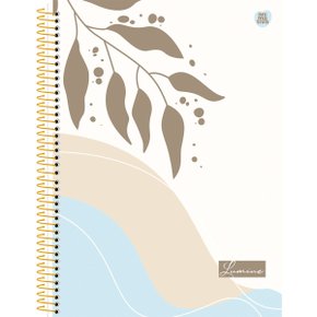 Caderno Universitário Espiral 80 Folhas Colorido Lumine Animativa