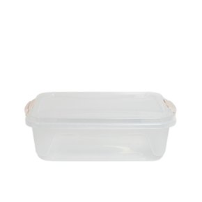 Caixa Organizadora Plástica Transparente 6L Rischioto