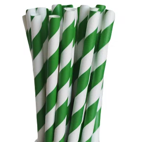 Canudo Vitamina Papel Verde com 12 Un Wyda