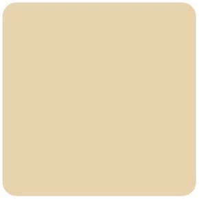 Cartolina EVA Bege 40x60 Unidade Seller