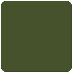 Cartolina EVA Verde Musgo 40x60 Unidade Seller