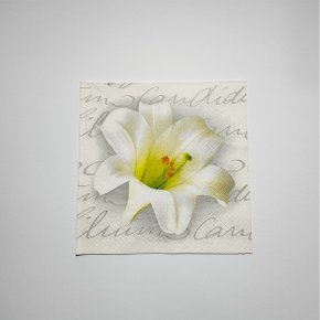 Guardanapo Formato Coração C/ 20 Un Silver Plastic