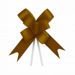 Laco Pronto 23mm Medio Marrom Albano Pct C/ 10 Um