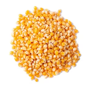 Milho Pipoca 500g Gramore