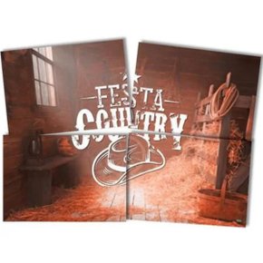Painel Cartolina Festa Country Festcolor