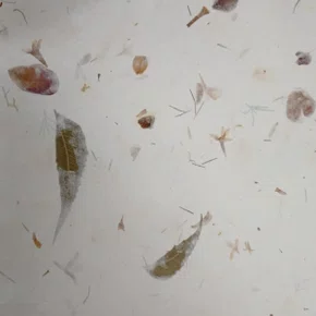 Papel Artesanal Folha Prensada 66x66 Folha Unidade