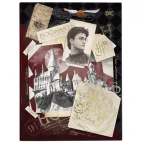 Pasta Catálogo C/10 Envelopes Harry Potter DAC