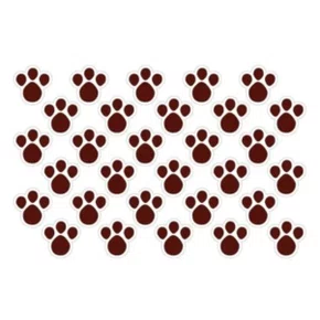 Pegada de Coelho Pequena Marrom com 20 Unidades