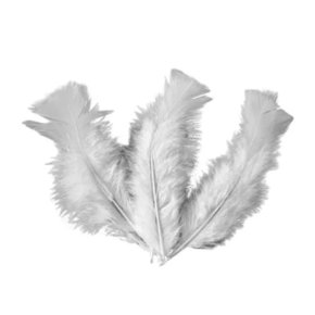 Pena Asa C/ 12 Un Branco Mariplumas