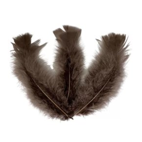 Pena Asa C/ 12 Un Marrom Pena E Cia